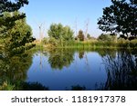 Scenic view, lake at Kern River Parkway, Bakersfield, CA. 