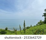 A scenic view of Lake Michigan with greenery on the South Milwaukee Beach on a sunny day with blue sky in Wisconsin