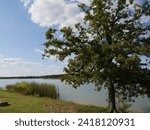 Scenic view of Lake Murray in Oklahoma, with a tree providing shade in the lake