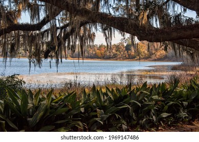 Scenic View of Lake Overstreet,  a lake in The Alfred B. Maclay State Gardens is a 1,176-acre Florida State Park, botanical garden and historic site In Tallahassee.