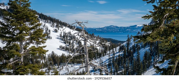 Scenic View Of Lake Tahoe, In The Sierra Nevada Mountains In California, From The Alpine Meadows Ski Resort. 