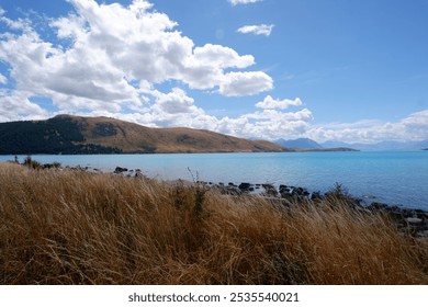 Scenic View of Lake Tekapo with Vibrant Blue Water on a Sunny Summer Day, Surrounded by Rocky Shoreline and Golden Grass under Clear Blue Sky – South Island, New Zealand - Powered by Shutterstock