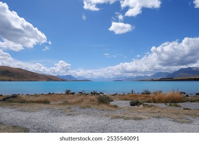 Scenic View of Lake Tekapo with Vibrant Blue Water on a Sunny Summer Day, Surrounded by Rocky Shoreline and Golden Grass under Clear Blue Sky – South Island, New Zealand - Powered by Shutterstock