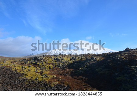 Similar – Image, Stock Photo Snow-covered mountain and Icelandic moss