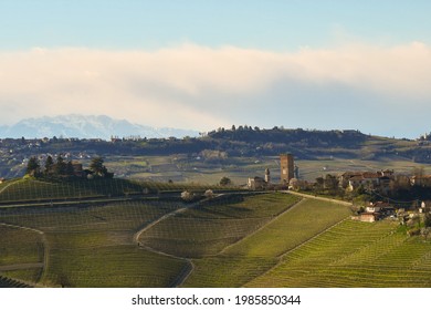 Scenic view of the Langhe vineyard hills, Unesco World Heritage Site, with the old village of Barbaresco in springtime, Cuneo province, Piedmont, Italy