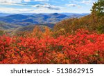 A scenic view from Log Hollow Overlook on the Blue Ridge Parkway in fall when the sassafras shrubs turn vibrant red for the autumn season.