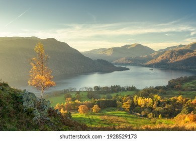 Scenic view of Lone Tree above Ullswater looking toward Glenridding from Gowbarrow Fell - Shutterstock ID 1928529173