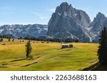 Scenic view of lonely wooden hut on Alpe di Siusi with Sassolungo mountain in the background framed by trees. Vibrant green alpine pasture. South Tyrol, Dolomites, Alps, Italy.