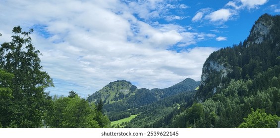 A scenic view of lush, forested mountains and rolling hills in the Bavarian Alps under a partly cloudy sky. The vibrant greenery and natural beauty highlight the tranquil ambiance of this landscape - Powered by Shutterstock