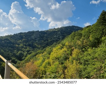 A scenic view of a lush, green forested mountain range under a bright blue sky with scattered clouds. Metal railing in the foreground suggests the photo was taken from a lookout. - Powered by Shutterstock