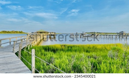 Scenic view of marshland in Wilmington, NC