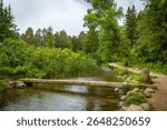 A scenic view of the Mississippi River Headwaters trail, winding along the banks of the famous river.