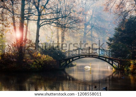 Scenic view of misty autumn landscape with beautiful old bridge with swan on pond in the garden with red maple foliage.