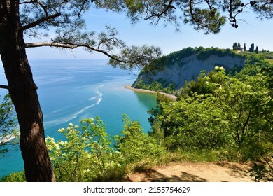 Scenic view of the Moon bay on the coast of the Adriatic sea at Strunjan in Istria, Slovenia with typical mediterranean vegetation - Shutterstock ID 2155754629