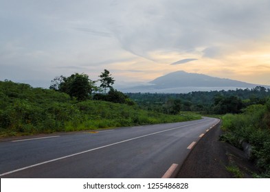 Scenic view of Mount Cameroon mountain with green forest during sunset, highest mountain in West Africa, Cameroon, Africa.