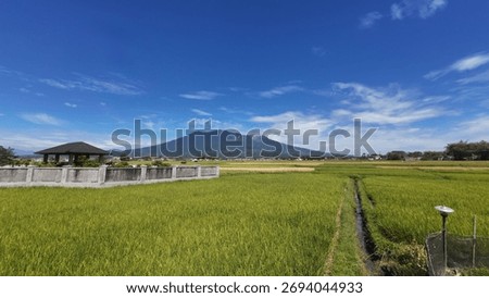 Scenic view of Mount Marapi, an active volcano in West Sumatra, Indonesia. Lush green rice terraces in Agam Regency dominate the foreground of this beautiful agricultural landscape.
