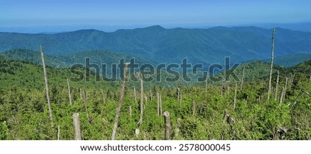 Scenic view at Mount Mitchell State Park, NC
