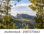 Scenic view of Mount Rushmore surrounded by lush green forest and clear sky in South Dakota.