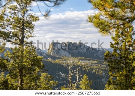 Scenic view of Mount Rushmore surrounded by lush green forest and clear sky in South Dakota.