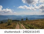 Scenic view of a mountain landscape featuring lush vegetation, winding trails, and blue skies with clouds.