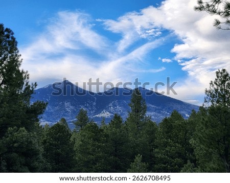 Scenic view of mountain, pine trees and clouds in Flagstaff Arizona 