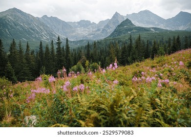 A scenic view of a mountainous landscape featuring lush green forests and vibrant pink wildflowers in the foreground. The mountains in the background are rugged and majestic, under a cloudy sky. - Powered by Shutterstock