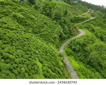 Scenic view of a narrow mountain road winding through rugged terrain, flanked by towering peaks and lush vegetation. The winding path offers a thrilling journey amidst breathtaking natural beauty. - Powered by Shutterstock