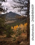 Scenic view near Estes Park in Colorado with pine and aspen trees in the fall.