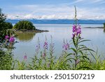 Scenic View Near Juneau Alaska