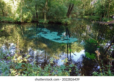 Scenic View Of The Neon Blue Waters Of A Karst Spring, Spring (outflow Of Groundwater) That Is Part Of A Karst Hydrological System. Blue Springs In Tomaszow Mazowiecki, Poland, Europe            