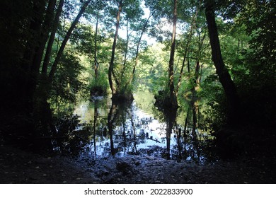 Scenic View Of The Neon Blue Waters Of A Karst Spring, Spring (outflow Of Groundwater) That Is Part Of A Karst Hydrological System. Blue Springs In Tomaszow Mazowiecki, Poland, Europe 