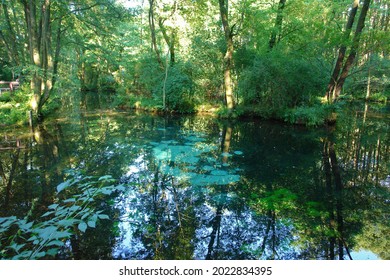 Scenic View Of The Neon Blue Waters Of A Karst Spring, Spring (outflow Of Groundwater) That Is Part Of A Karst Hydrological System. Blue Springs In Tomaszow Mazowiecki, Poland, Europe     