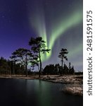 A scenic view of Northern lights by a little pond in Bymarka, Trondheim, Norway