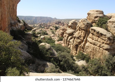 Scenic view on the beautiful rock formations with a lot of green plants and trees in Wadi Dana, Dana Biosphere Reserve, Jordan