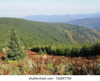 Scenic view on Moravian-Silesian Beskids mountains range landscape seen from Lysa Hora mount in Czech Republic with clear blue sky in 2017 warm sunny autumn day, Europe on September. - Shutterstock ID 762897754