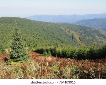 Scenic view on Moravian-Silesian Beskids mountains range landscape seen from Lysa Hora mount in Czech Republic with clear blue sky in 2017 warm sunny autumn day, Europe on September. - Shutterstock ID 764103016