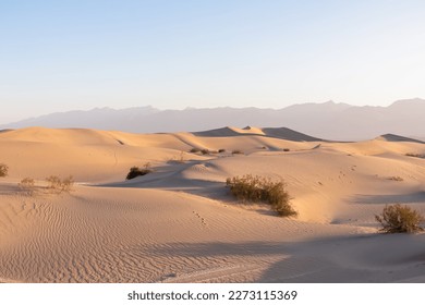 Scenic view on natural ripple sand pattern during sunrise at Mesquite Flat Sand Dunes, Death Valley National Park, California, USA. Morning walk in Mojave desert with Amargosa Mountain Range in back - Powered by Shutterstock