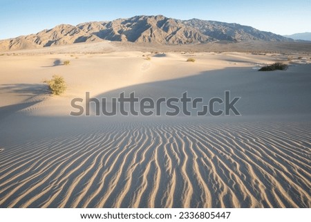 Scenic view on natural ripple sand pattern during sunrise at Mesquite Flat Sand Dunes, Death Valley National Park, California, USA. Morning walk in Mojave desert with Amargosa Mountain Range in back