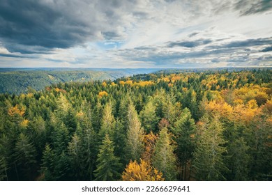 Scenic view over Black Forest, Germany near Bad Wildbad in autumn colors
