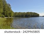 A scenic view over the Connecticut River from Perkins Landing, Littleton NH. There are green trees in the background and calm water in the foreground with weeds to the left.