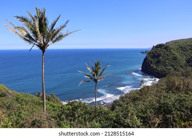 A Scenic View Of The Pacific Ocean Along The Pololu Trail On Kona, Hawaii