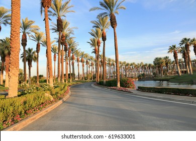 Scenic View In Palm Springs, CA, USA