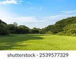 Scenic view of the park with green grass field in city and a cloudy blue sky background. Beautiful green park