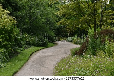 Similar – Image, Stock Photo Through the flower