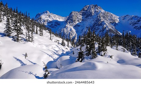 Scenic view of a pine forest covering the hills under the Canadian Rocky Mountains. Snow covers the mountain landscape in British Columbia. Mountain towers above pine-covered landscape in Bella Coola. - Powered by Shutterstock