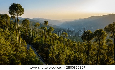 Scenic view of pine forest and mountain valley near the hill station of Murree, Pakistan