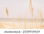 A scenic view of Pirita Beach in Tallinn, Estonia, showcasing its pristine sandy shoreline and the tranquil waters of the Baltic Sea