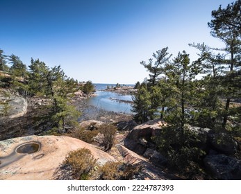 Scenic view of plants growing amidst rock formations at seashore against clear blue sky during sunny day