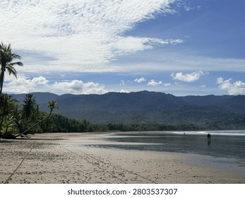 Scenic view of pristine empty tropical beach with palm trees and green mangroves under a clear blue sky