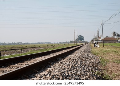 A scenic view of railroad tracks cutting through vibrant green rice fields under a bright, clear sky, representing rural transport - Powered by Shutterstock